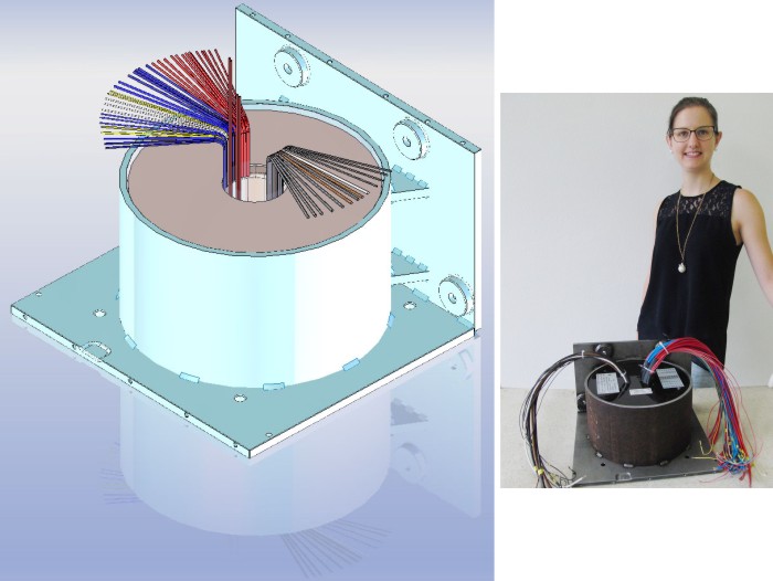 Screened audio toroidal transformer